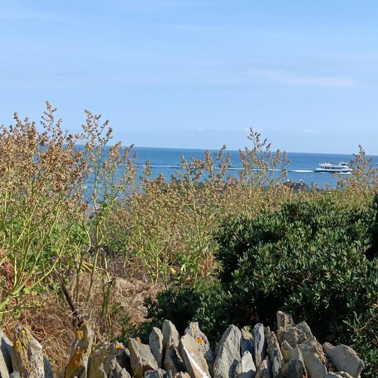 Isla Privada en Cadaqués de ensueño con 11 habitaciones dobles con baño privado y piscina - Villa - 44