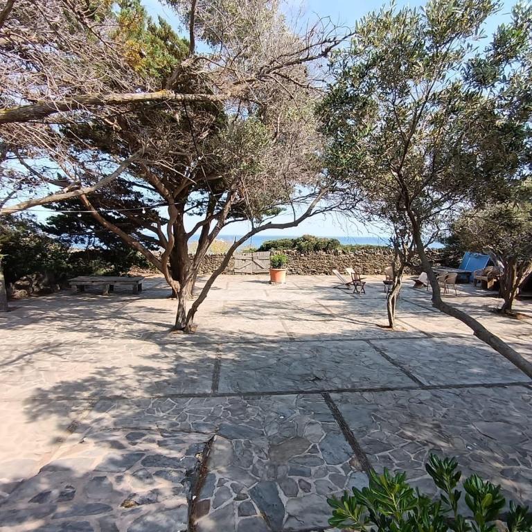 Isla Privada en Cadaqués de ensueño con 11 habitaciones dobles con baño privado y piscina - Villa - 43