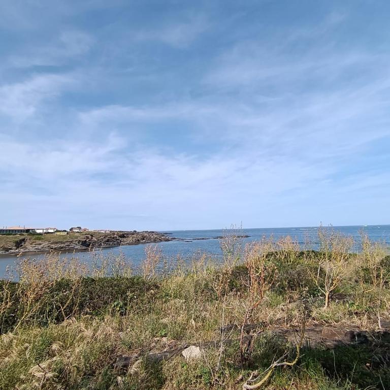 Isla Privada en Cadaqués de ensueño con 11 habitaciones dobles con baño privado y piscina - Villa - 42