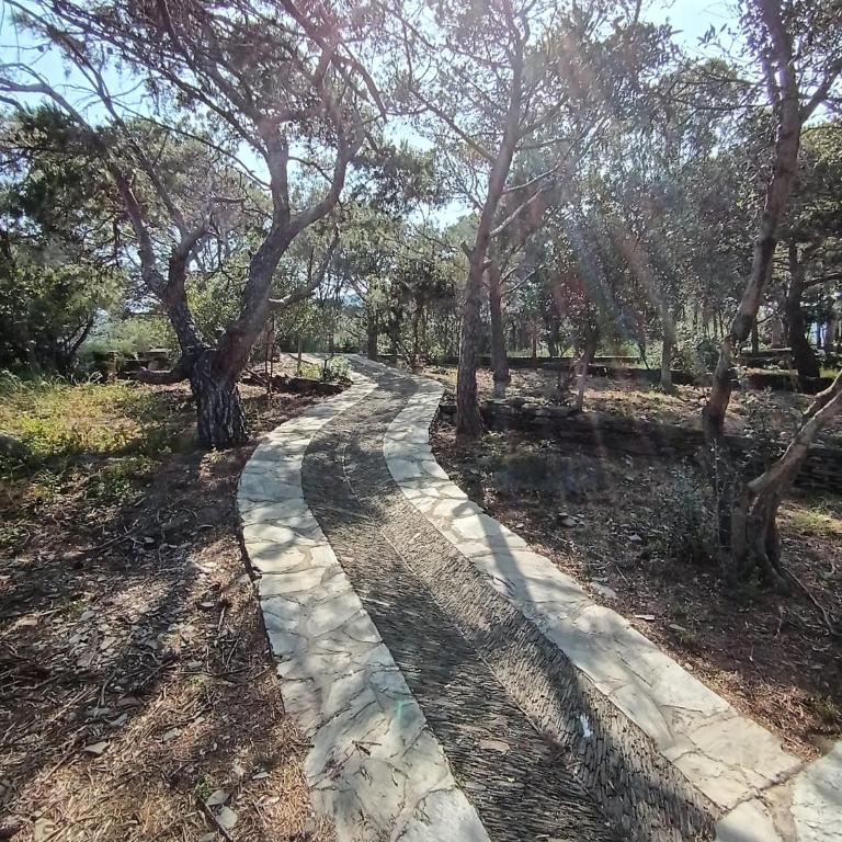 Isla Privada en Cadaqués de ensueño con 11 habitaciones dobles con baño privado y piscina - Villa - 41