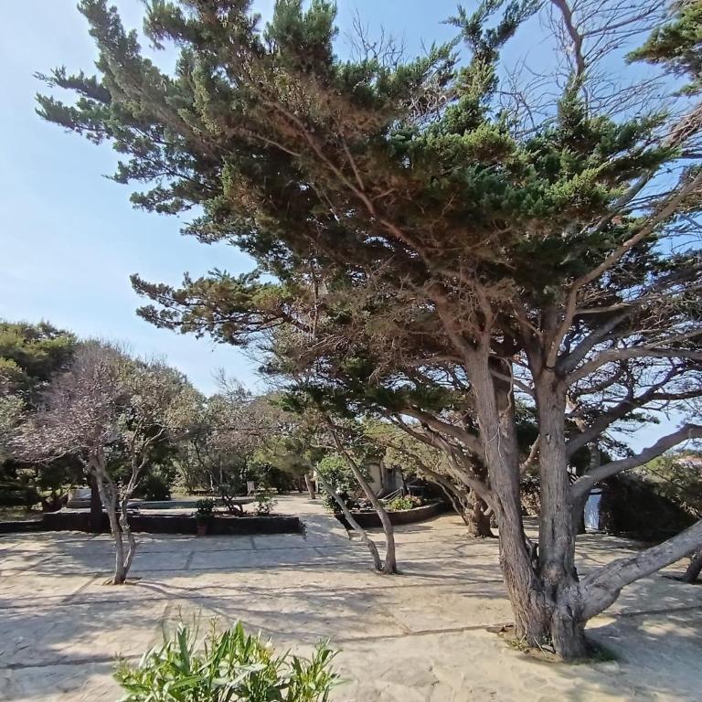 Isla Privada en Cadaqués de ensueño con 11 habitaciones dobles con baño privado y piscina - Villa - 40