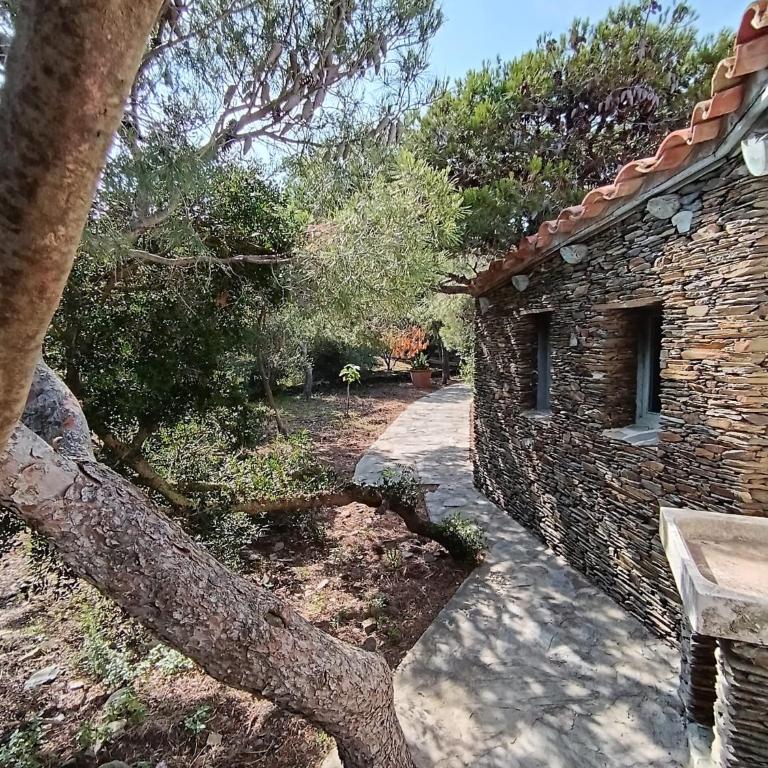 Isla Privada en Cadaqués de ensueño con 11 habitaciones dobles con baño privado y piscina - Villa - 38