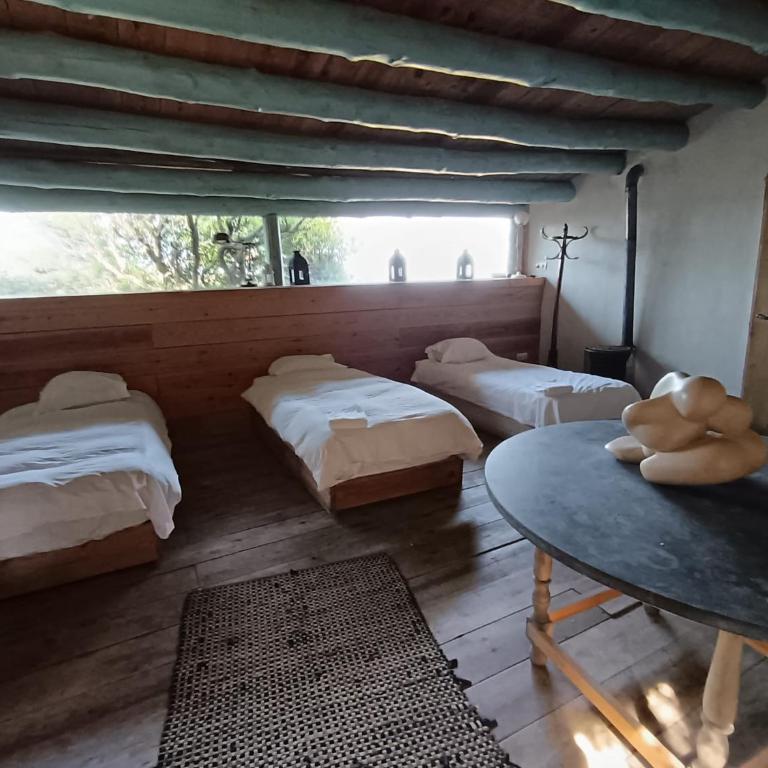 Isla Privada en Cadaqués de ensueño con 11 habitaciones dobles con baño privado y piscina - Villa - 35