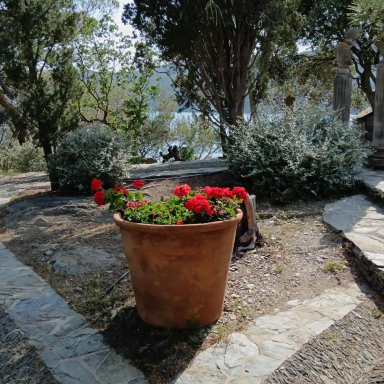 Isla Privada en Cadaqués de ensueño con 11 habitaciones dobles con baño privado y piscina - Villa - 23