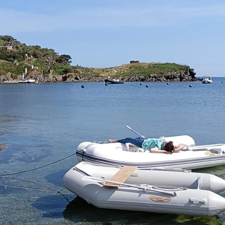 Isla Privada en Cadaqués de ensueño con 11 habitaciones dobles con baño privado y piscina - Villa - 26