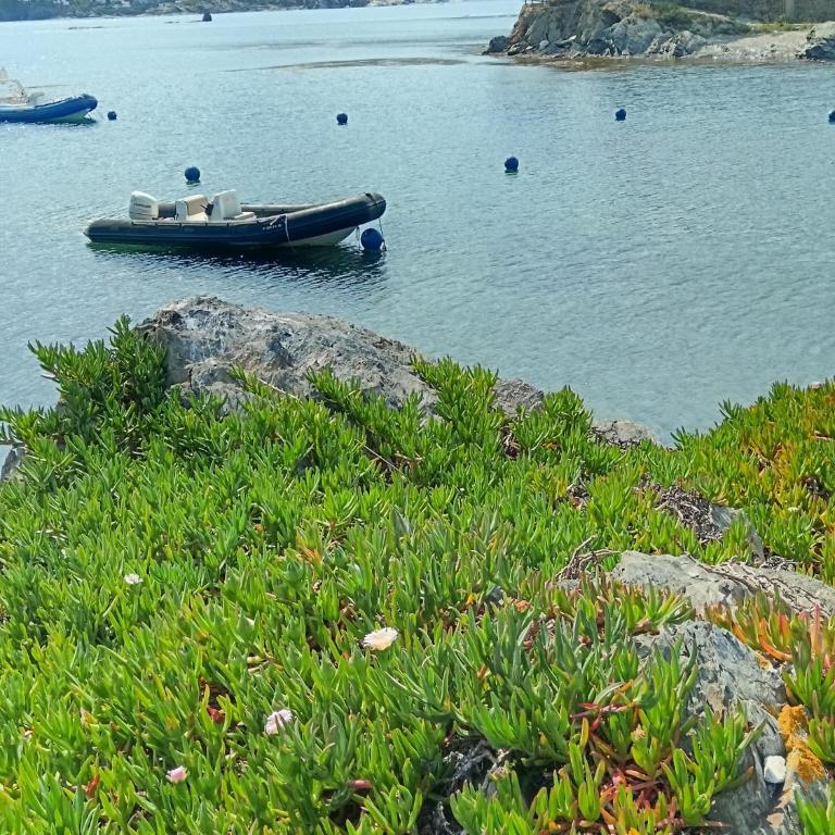 Isla Privada en Cadaqués de ensueño con 11 habitaciones dobles con baño privado y piscina - Villa - 22