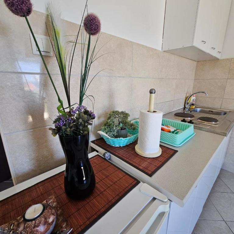 Vila Lučica studio pogled na more - One-Bedroom Apartment - 6