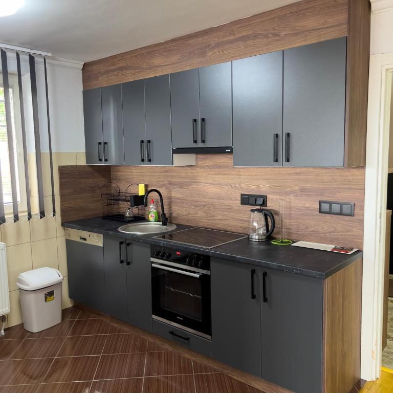 City View Apartment - Apartman sa 3 Spavaće Sobe - 47