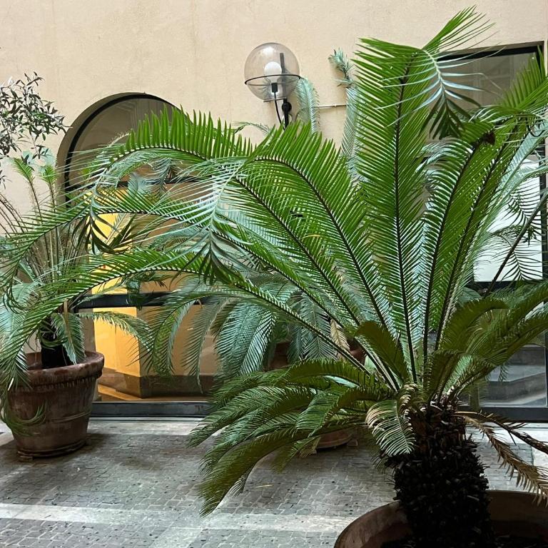 Antico Suites Roma - Appartamento con 1 Camera da Letto con Balcone e Vista Città - 45