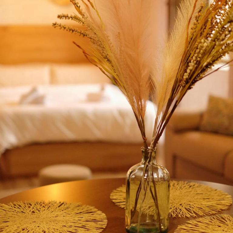 Estudio Casco Histórico - Apartamento de 1 dormitorio - 3