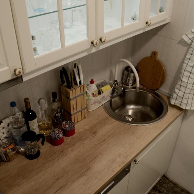 Classy and cozy near Tasmajdan park and Flower Piazza - Apartman sa 1 Spavaćom Sobom - 25