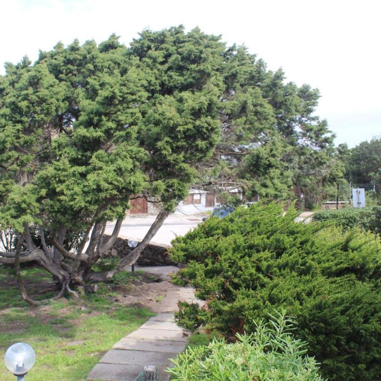 Casa vacanze Nuovi Orizzonti I3 - Stintino - Appartamento con 2 Camere da Letto - 2
