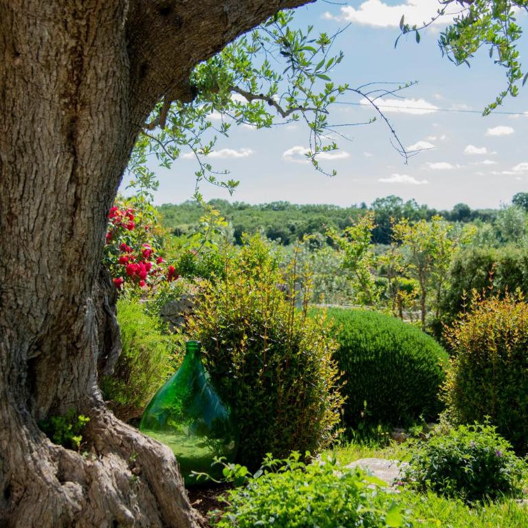 Trulli Arco Antico - Casa Vacanze - 17