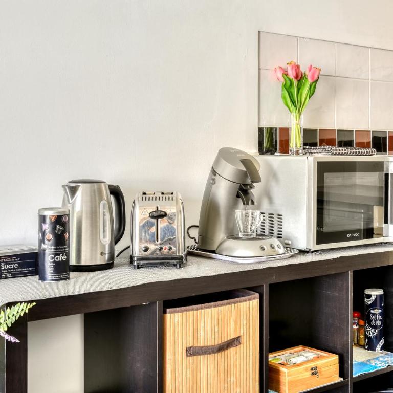 Grand studio la Presqu'île 2 - Appartement - 6