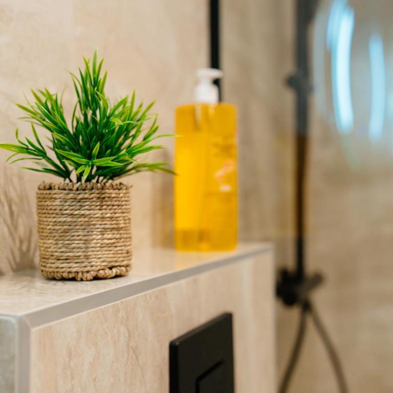 Avenza Residences Kotor Old Town - Deluxe Studio - 34