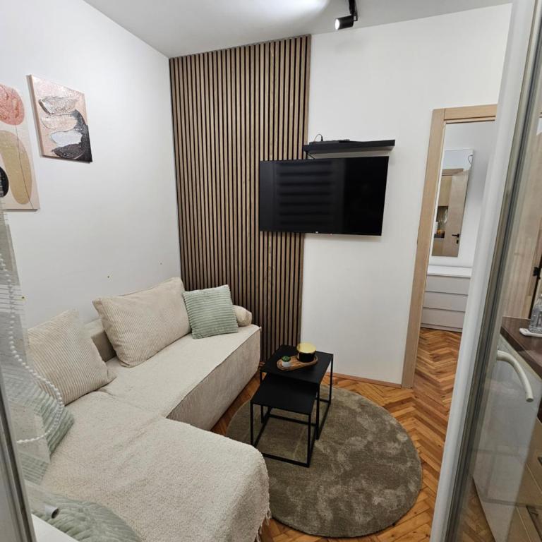 Apartman Tara - One-Bedroom Apartment - 5
