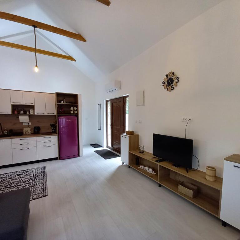 Gazdinstvo Prcović - Vila sa 2 Spavaće Sobe - 10