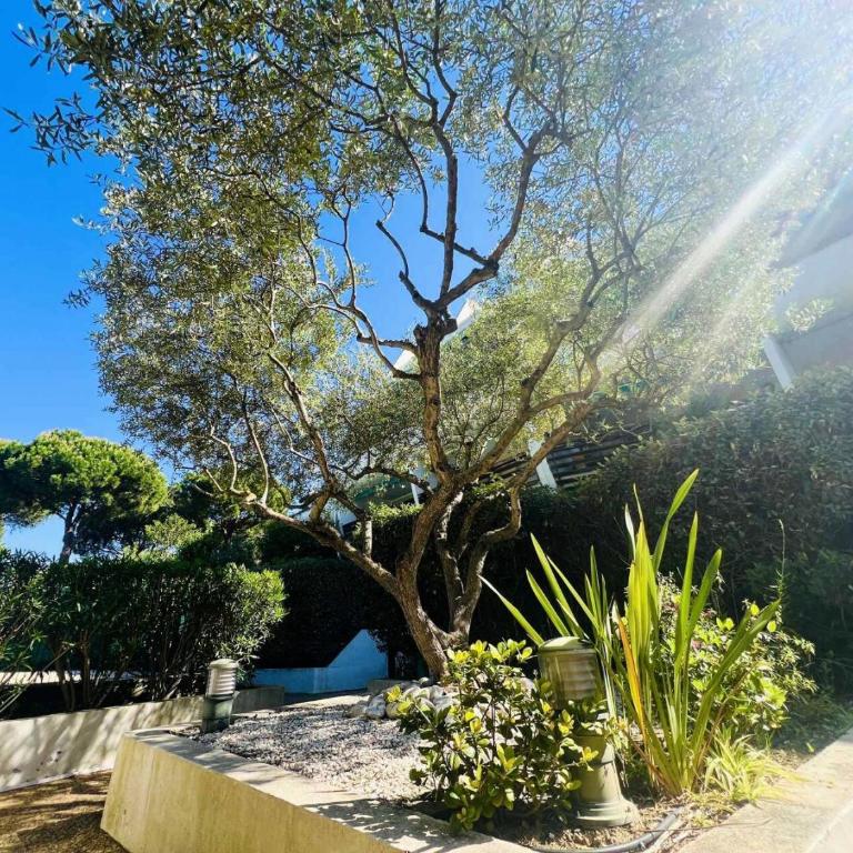 Villegiales Tee1 - Appartement dans résidence avec piscine MAE-1184 - Monolocale - 5