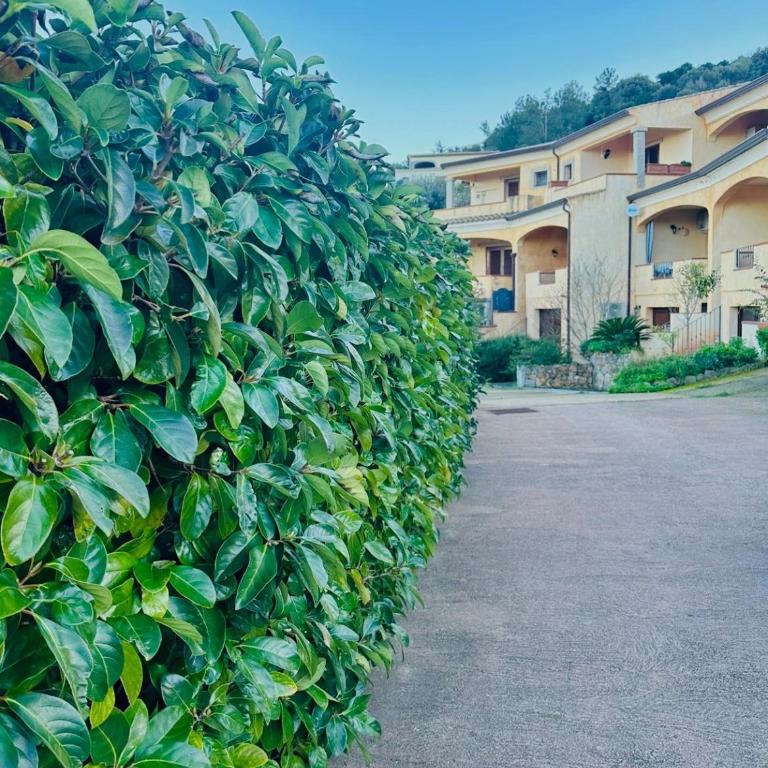 Residenza Corallo - Casa con 2 Camere da Letto - 2