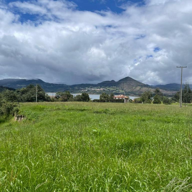 El Alpino Cabaña Glamping & Camping - Standard Villa - 6