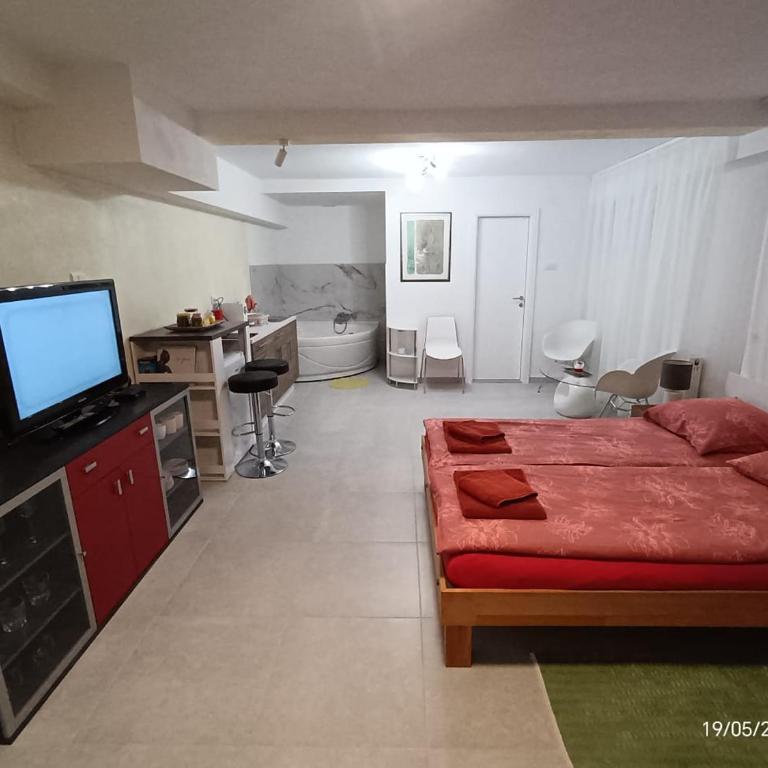 Apartment SAYA - Kuća sa 1 Spavaćom Sobom - 4