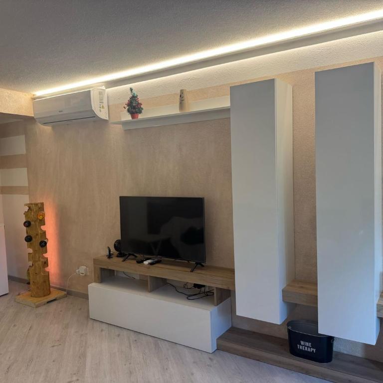 Ermi Apartment Temù - Appartamento con 2 Camere da Letto - 3