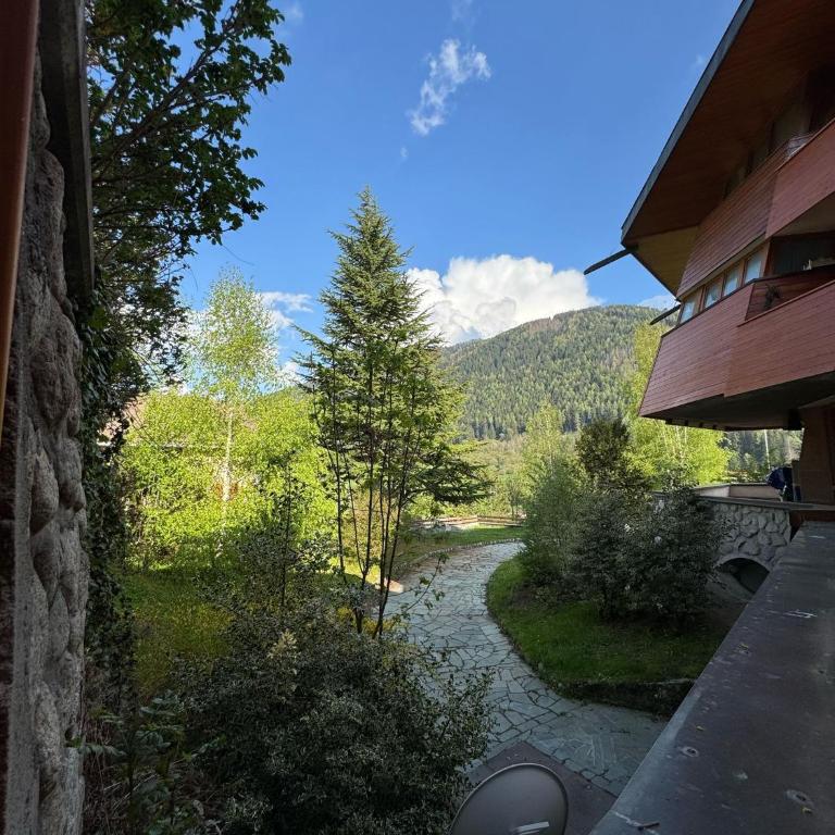 Ermi Apartment Temù - Appartamento con 2 Camere da Letto - 6