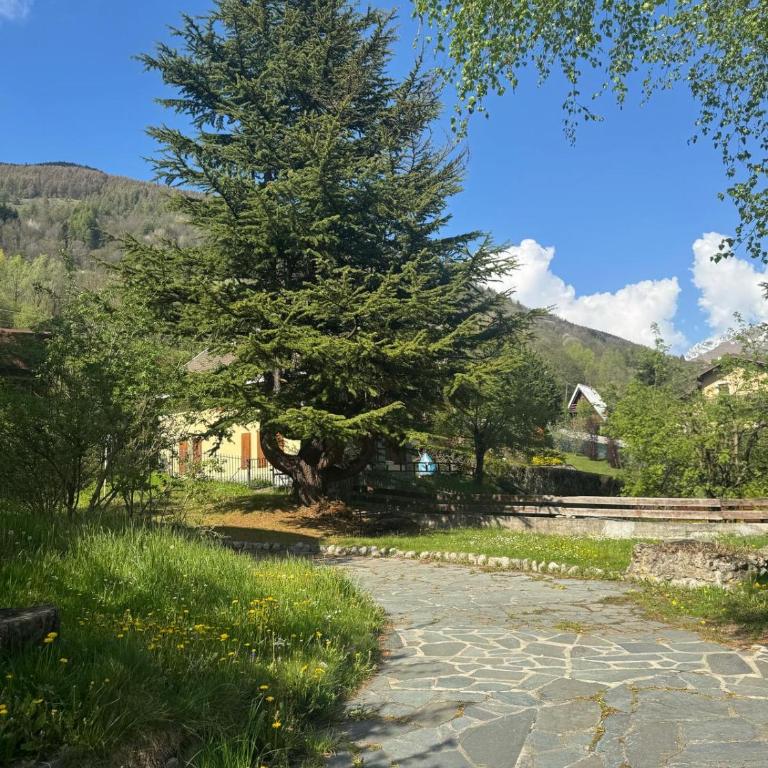 Ermi Apartment Temù - Appartamento con 2 Camere da Letto - 11