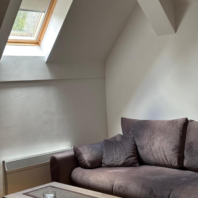 Alexandro Apartmani Zlatibor - One-Bedroom Apartment - 6