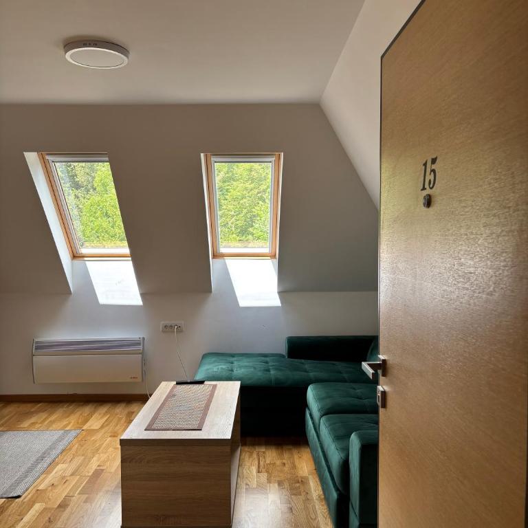 Alexandro Apartmani Zlatibor - King Studio with Sofa Bed - 13