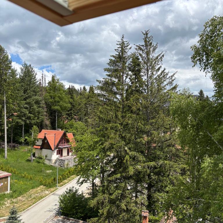 Alexandro Apartmani Zlatibor - King Studio with Sofa Bed - 14
