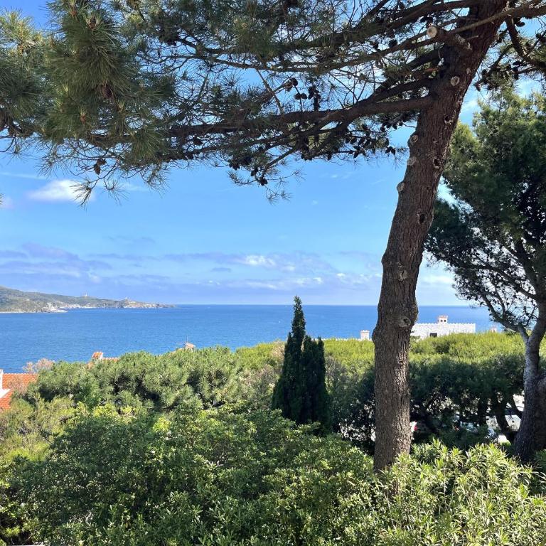 Maison paisible entre mer et montagne à Banyuls-sur-Mer - FR-1-309-515 - Two-Bedroom House - 2
