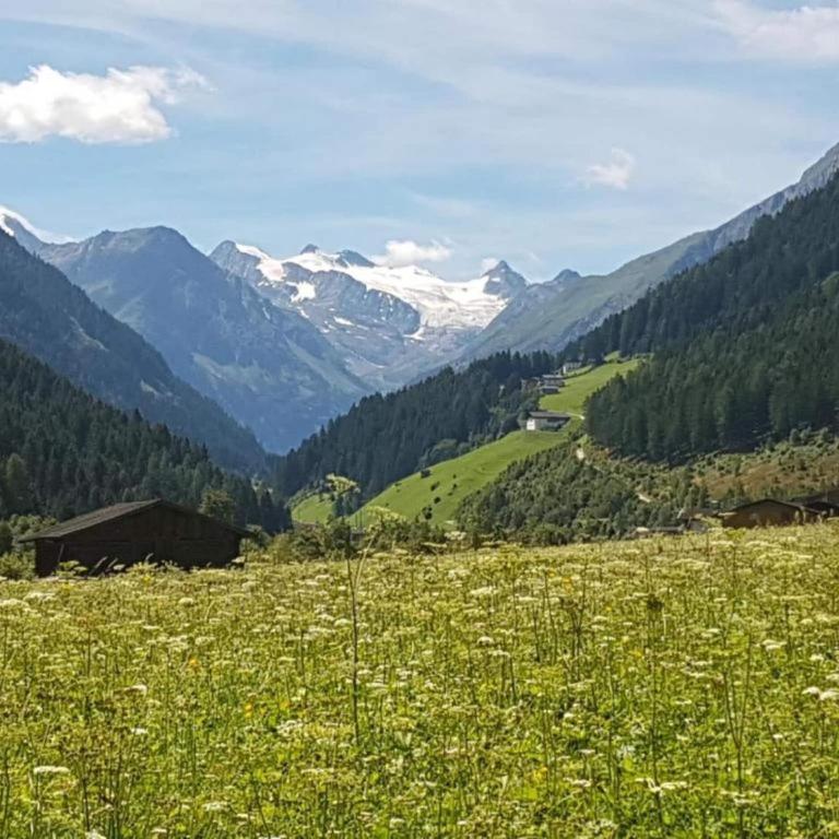 Apartment in Zillertal near Ski Slopes - Two-Bedroom Apartment - 28