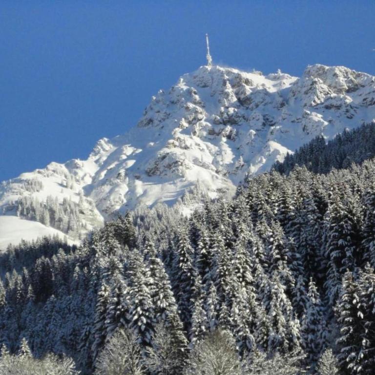 Apartment in Neustift near Ski Lift - Apartment - 31