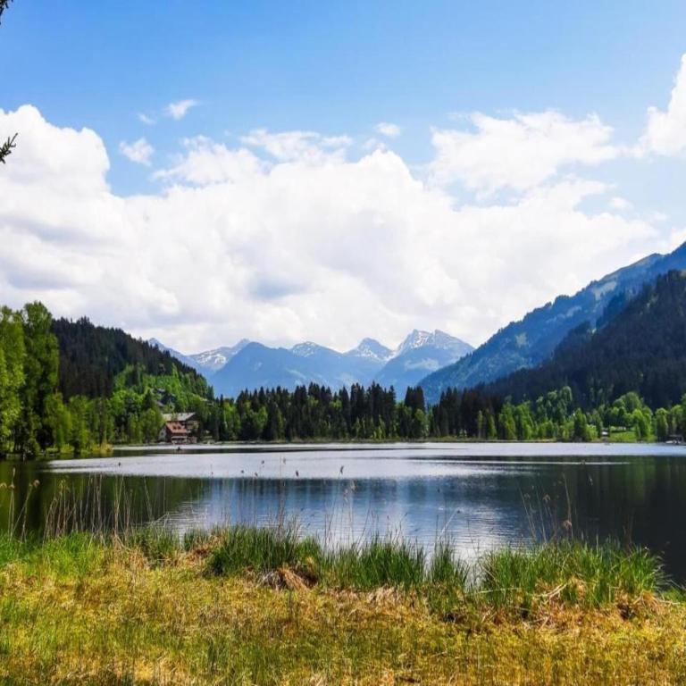 Apartment in Neustift near Ski Lift - Apartment - 20