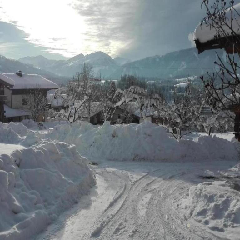 Apartment in Neustift near Ski Lift - Apartment - 30