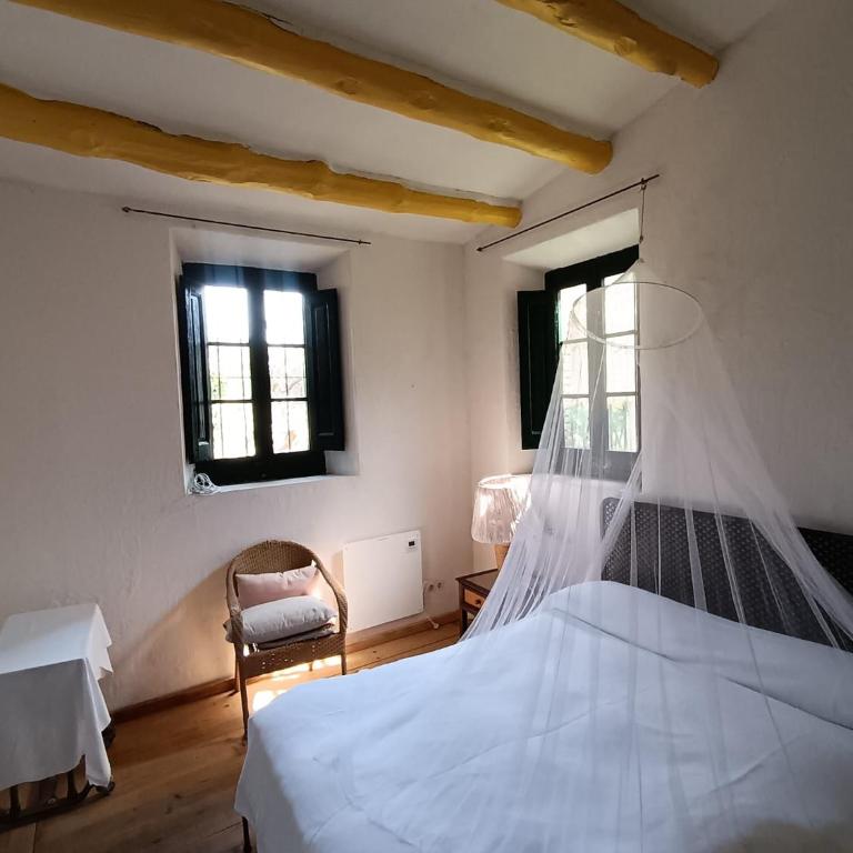 Isla Privada en Cadaqués de ensueño con 11 habitaciones dobles con baño privado y piscina - Villa - 17