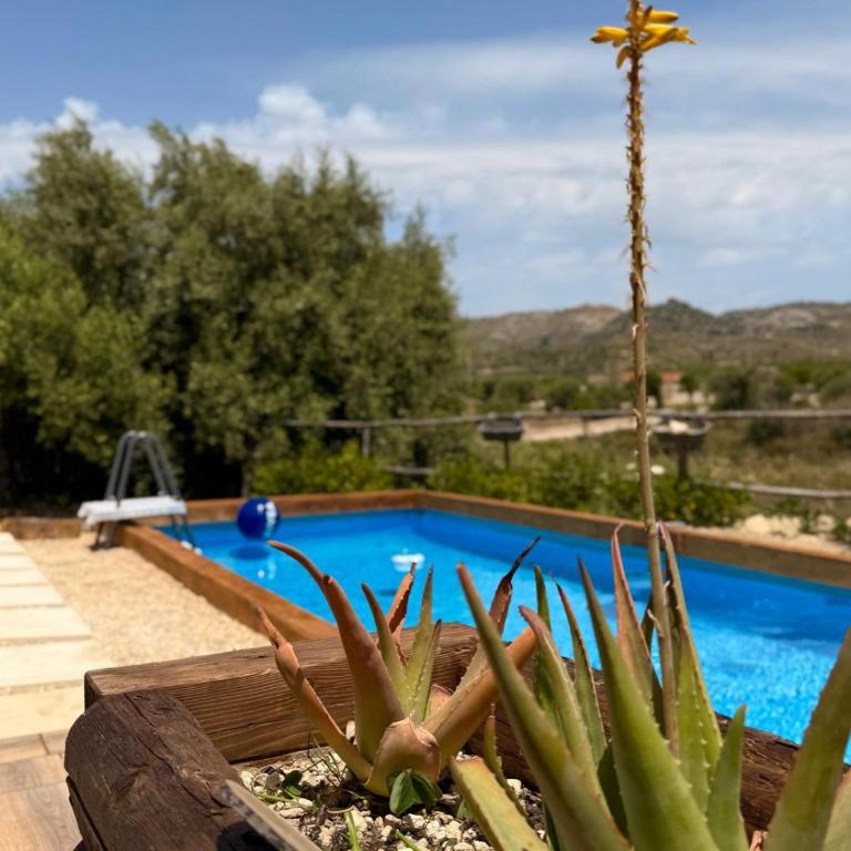 La piccola dimora - Villa con 2 Camere da Letto - 30