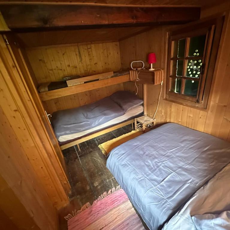Cozy Mazot Champéry Portes du Soleil - Chalet - 8