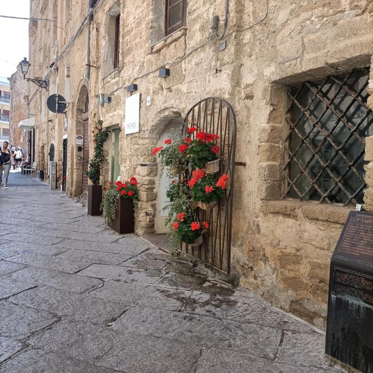 SHS Alghero - Appartamento Monolocale - 9