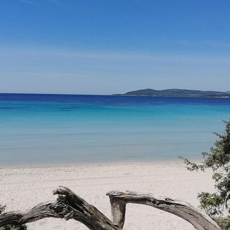 Mare chiaro - Appartement 2 Chambres - 13
