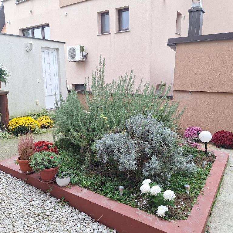 Apartmani Villas - Apartman sa 1 Spavaćom Sobom - 3