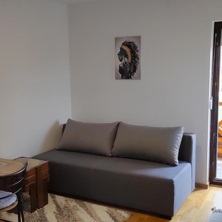 Naša priča Zlatibor - One-Bedroom Apartment - 16