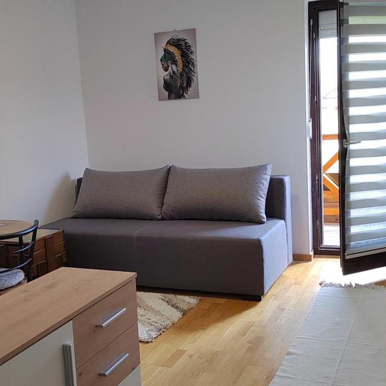 Naša priča Zlatibor - One-Bedroom Apartment - 21