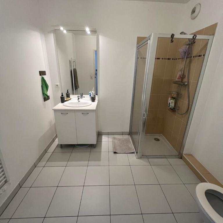 Nice 2P quiet, tram, convenient - Appartement 1 Chambre - 2