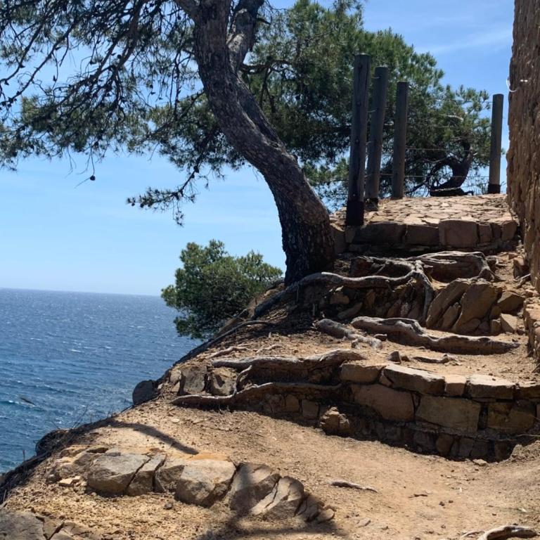 Studio calme 4 personnes 600 m de la plage sur la presqu'île de St mandrier proche toulon - Apartamento de 1 dormitorio - 29
