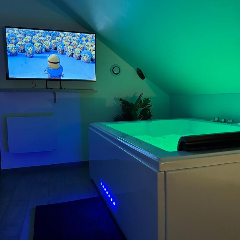 Le cocon du leman Un espace cosy oú vous retrouver - Appartement 1 Chambre - 4