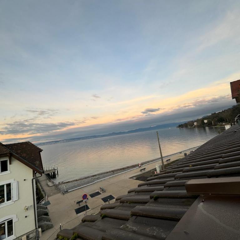 Le cocon du leman Un espace cosy oú vous retrouver - Appartement 1 Chambre - 18
