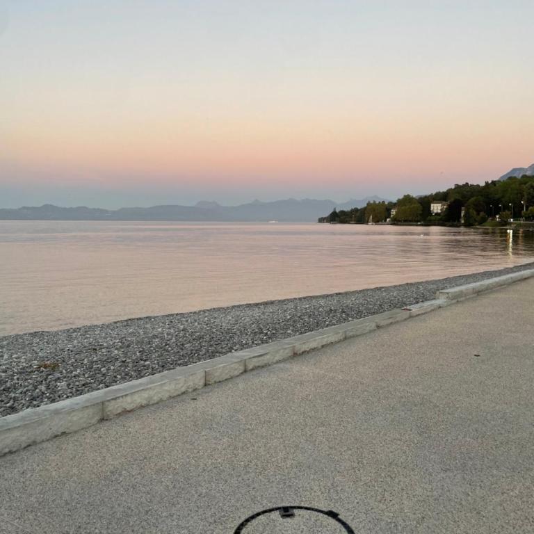 Le cocon du leman Un espace cosy oú vous retrouver - Appartement 1 Chambre - 16