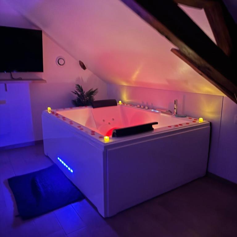 Le cocon du leman Un espace cosy oú vous retrouver - Appartement 1 Chambre - 6